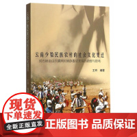 云南少数民族农村的社会文化变迁 王玲 中国社会科学出版社 正版书籍