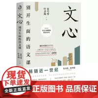 文心(平装版)