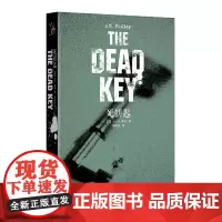 死钥匙 D.M.普利 上海文艺出版社 正版书籍