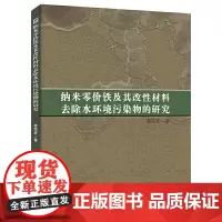 纳米零价铁及其改性材料去除水环境污染物的研究