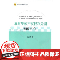 农村集体产权权利分割问题研究