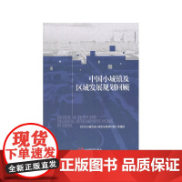 中国小城镇及区域发展规划回顾