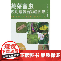 蔬菜害虫识别与防治彩色图谱