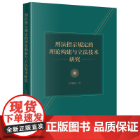 刑法指示规定的理论构建与立法技术研究