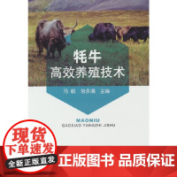 牦牛高效养殖技术