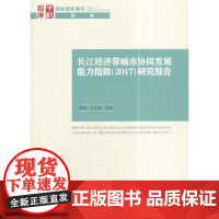 长江经济带城市协同发展能力指数(2017)