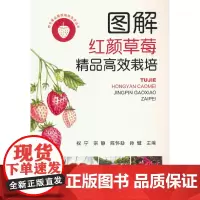 图解红颜草莓精品高效栽培(特色果品提质增效技术丛书)