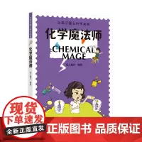 化学魔法师(让孩子爱上科学实验)