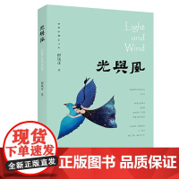 光与风