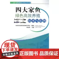 四大家鱼绿色高效养殖技术与实例