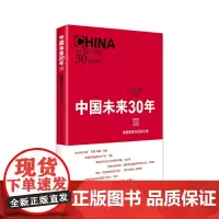 中国未来30年Ⅲ——重塑梦想与现实之维