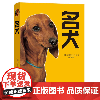 名犬