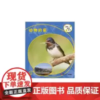 复旦版科学绘本·动物的秘密系列:动物的家(8本美丽的儿童科普书,涵括孩子的动物基础知识,让孩子发现自然之美,开启探究