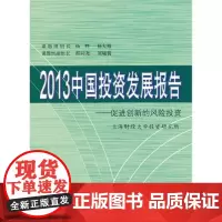2013中国投资发展报告 上海财经大学投资研究所 上海财经大学出版社 正版书籍