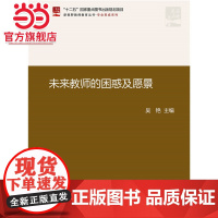 未来教师的困惑及愿景 吴艳著9787301238370北京大学出版社新视野教师教育丛书·专业养成系列正版图书