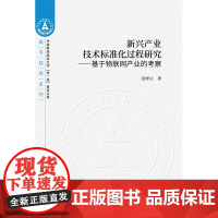 新兴产业技术标准化过程研究