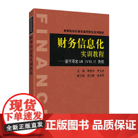 财务信息化实训教程