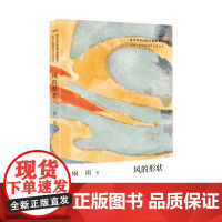 风的形状(中国少数民族文学之星丛书2023年卷)