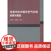 改革中的中国天然气市场:回顾与展望