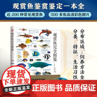 观赏鱼完全图鉴 自然科学读物 海洋生物养殖鱼类科普百科全书图鉴书籍 鱼缸观赏鱼养殖热带海水鱼淡水鱼冷水性鱼饲养指南