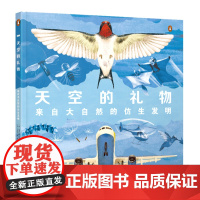 天空的礼物:来自大自然的仿生发明