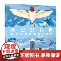 天空的礼物:来自大自然的仿生发明