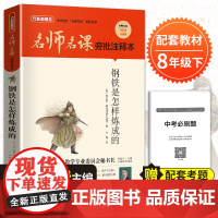 名师名课旁批注释本 钢铁是怎样炼成的