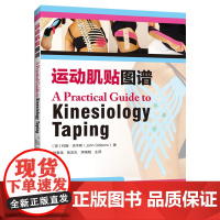 运动肌贴图谱 正版书籍