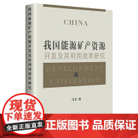 我国能源矿产资源开发及其利用效率研究