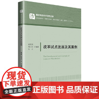 改革试点发展及其案例/重庆综合经济研究文库