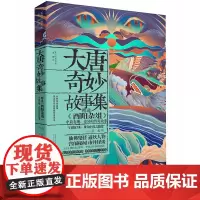 大唐奇妙故事集 段成式 秦瞳 陕西人民出版社 正版书籍