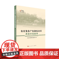 农村集体产权制度改革典型村级案例