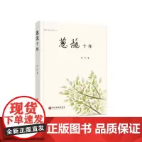 葱茏十年