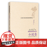 佛山韵律文学艺术丛书 · 2017年小说卷