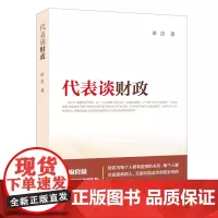 代表谈财政