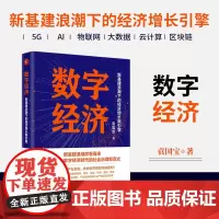 数字经济:新基建浪潮下的经济增长新引擎 袁国宝 中国经济出版社 正版书籍