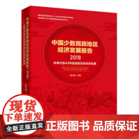 中国少数民族地区经济发展报告(2018)
