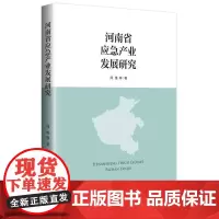 河南省应急产业发展研究