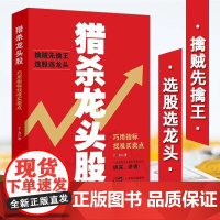 猎杀龙头股 : 巧用指标找准买卖点