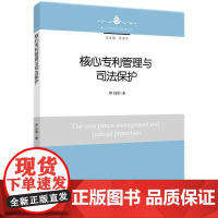 核心专利管理与司法保护