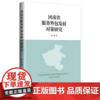 河南省服务外包发展对策研究