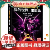 我的世界:末影龙 预计发货05.29