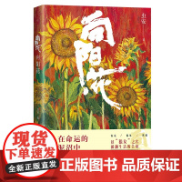 向阳花:高票房佳作《向阳·花》原著作品,还原高月香、黑妹、胡萍、郭爱美完整过往与重生之路