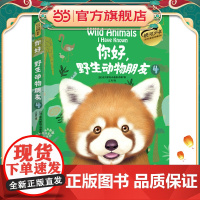 你好,野生动物朋友4(美绘精装版)