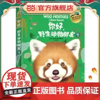你好,野生动物朋友4(美绘精装版)