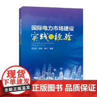 国际电力市场建设实践与经验