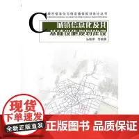 城镇信息化及其基础设施规划建设 汤铭潭等编著24人 中国建筑工业出版社 正版书籍