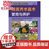 观赏乔木苗木繁育与养护