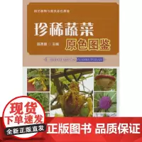 珍稀蔬菜原色图鉴