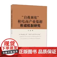 “自我强化”和电商产业集群形成机制研究